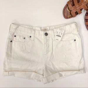 J. Crew Distressed White Shorts | Size 25 | NWT